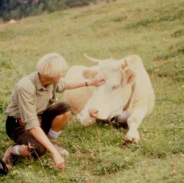 me petting a cow